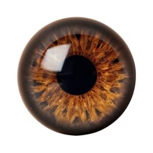 Stainless Steel Eyelens NZ001